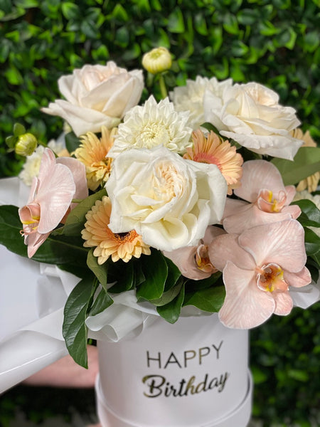 Hat Box Arrangements