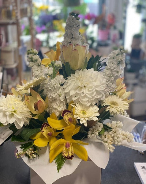 Boxed Arrangements