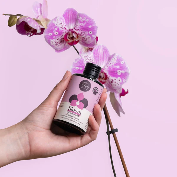 We the Wild Orchid care duo