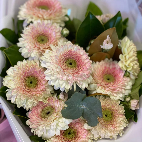 Bunch of Gerberas