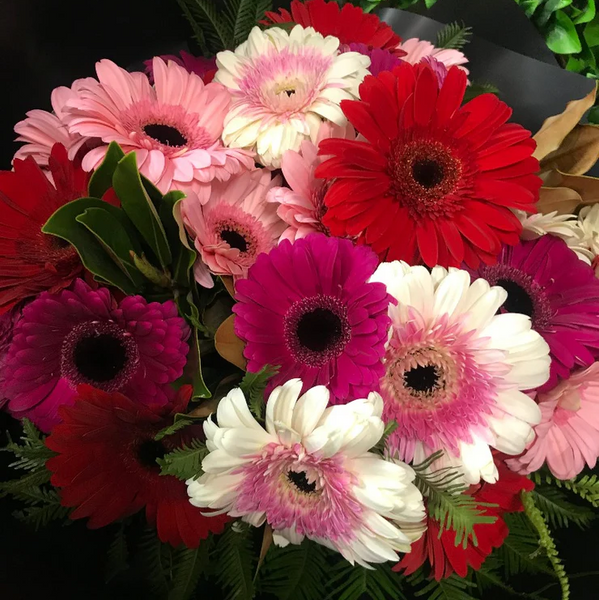 Bunch of Gerberas