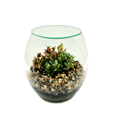 Terrarium