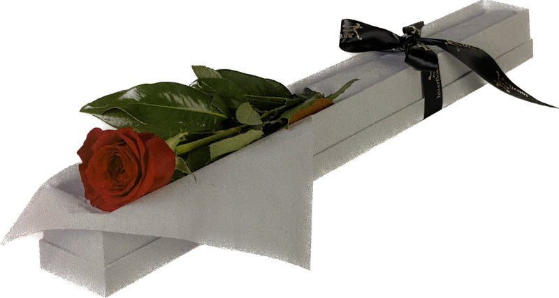 Valentines Day - Single Long Stem Red Rose Boxed